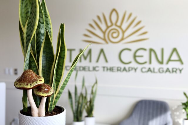 'ATMA CENA' now has 13 psychedelics clinics throughout Canada