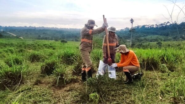 GoldMining gets exploration permit for Brazilian gold-copper site after years of delays