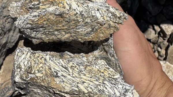 NevGold edges closer to gold-antimony resource with latest Limousine Butte results