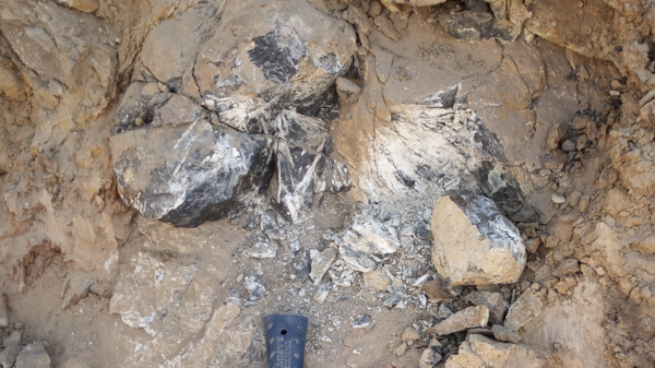 NevGold surges after closing C$10M financing deal