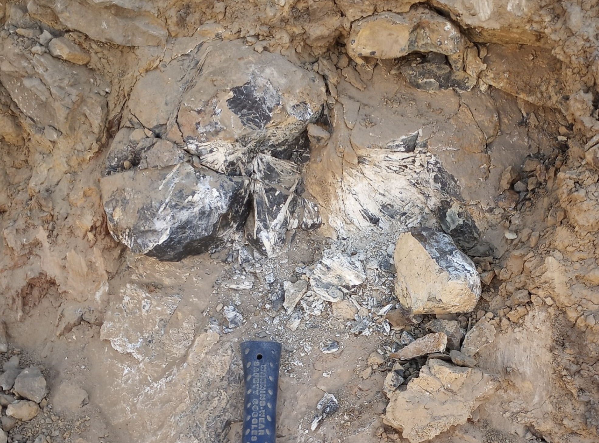 NevGold surges after closing C$10M financing deal