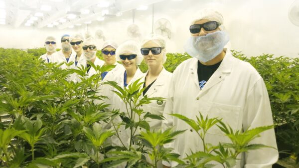 Canopy Growth inks deal to takeover MTL Cannabis