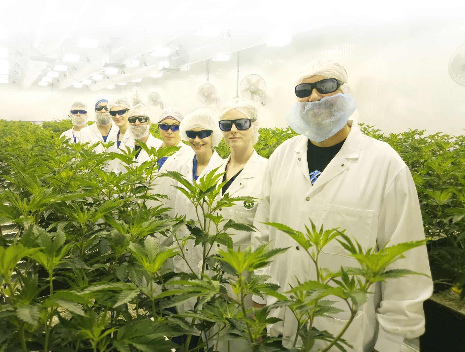 Canopy Growth inks deal to takeover MTL Cannabis