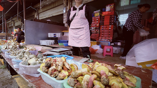 Mysterious mushroom causes bizarre hallucinations of tiny humanoid creatures