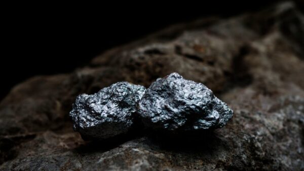 Silver Institute predicts lengthy precious metal rally