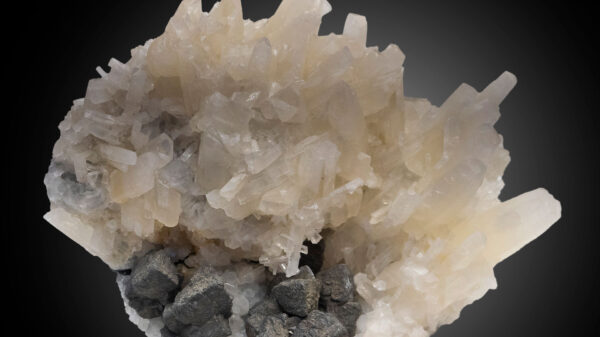 Maxus Mining intercepts high grade antimony mineralization at surface