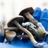 New Jersey hops on the medical psilocybin legalization train