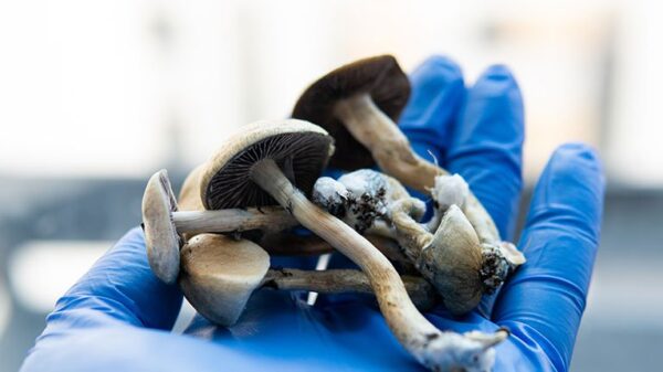 New Jersey hops on the medical psilocybin legalization train