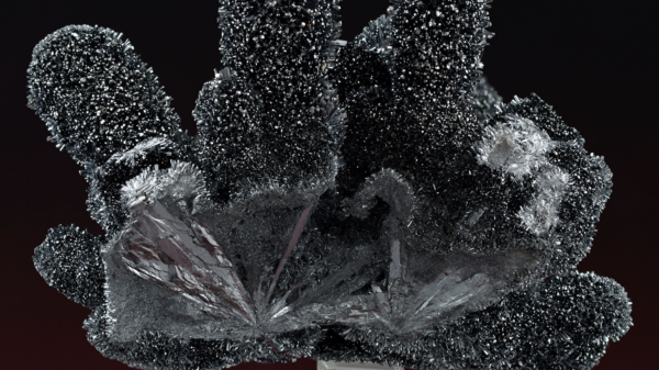 GoldMining's updated Peru MRE shows 75% more gold, and antimony