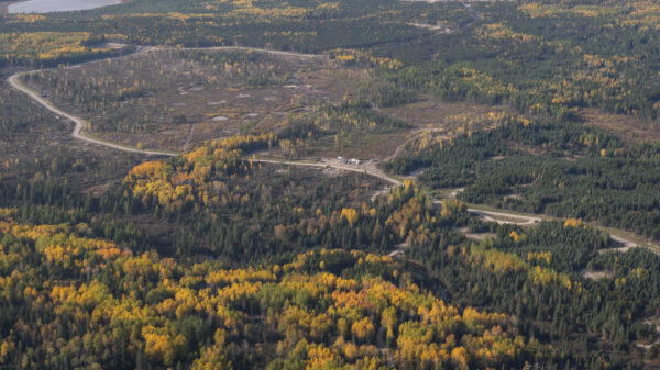 1. Will Wight One of the most successful modern indie fantasy authors. His Cradle series became a #1 Kindle bestseller and now includes a large backlist and multiple series, grown almost entirely via self-publishing and Kindle Unlimited readership. 2. Daniel Arenson A long-time indie series author whose The Moth Saga and other epic fantasy works have sold well enough to allow full-time writing. He built readership by releasing series over many years and using promotional strategies like boxed sets and book deals. 3. Jonathan Renshaw (Dawn of Wonder) His epic fantasy Dawn of Wonder was self-published and became one of the better-known indie series in the genre, often cited among self-publishing success stories. 4. Derrick Smythe (Passage to Dawn) Author of the Passage to Dawn epic fantasy series, independently published and gaining recognition in indie circles for worldbuilding, moral themes, and consistency. 5. Nat Russo Self-published author of The Mukhtaar Chronicles who has built a solid indie career and also blogs about the craft and business of writing as an independent.