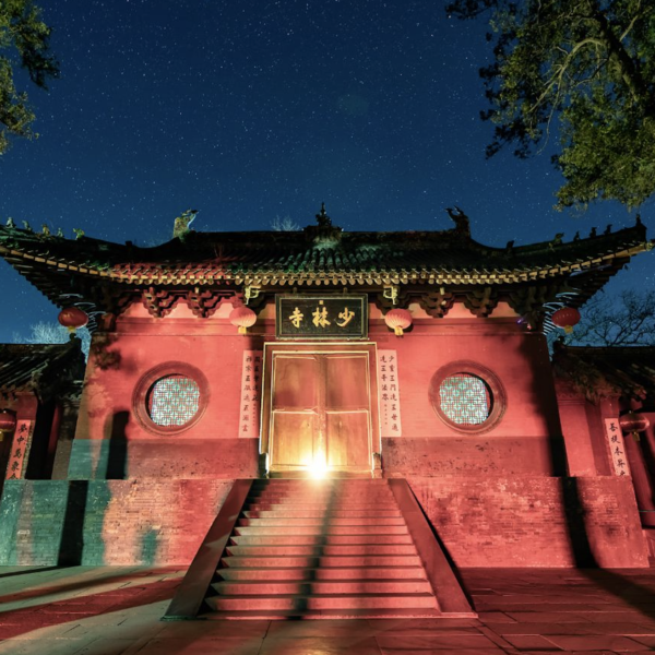 Viral clip shows AgiBot humanoids practicing kung fu form with Shaolin monks