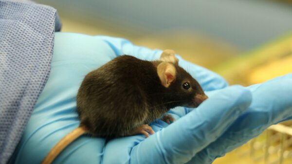 Bacterial infection breath test demonstrates efficacy in rodent studies