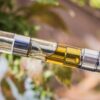 Gen Z preferences cause vaporizers to overtake flower in California's cannabis industry