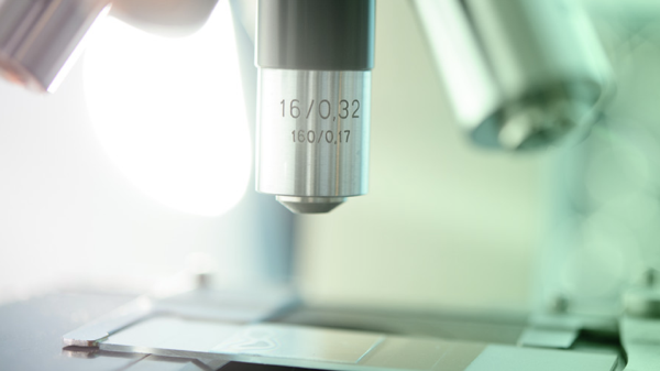 Immutep completely tanks after discontinuing lung cancer drug trial