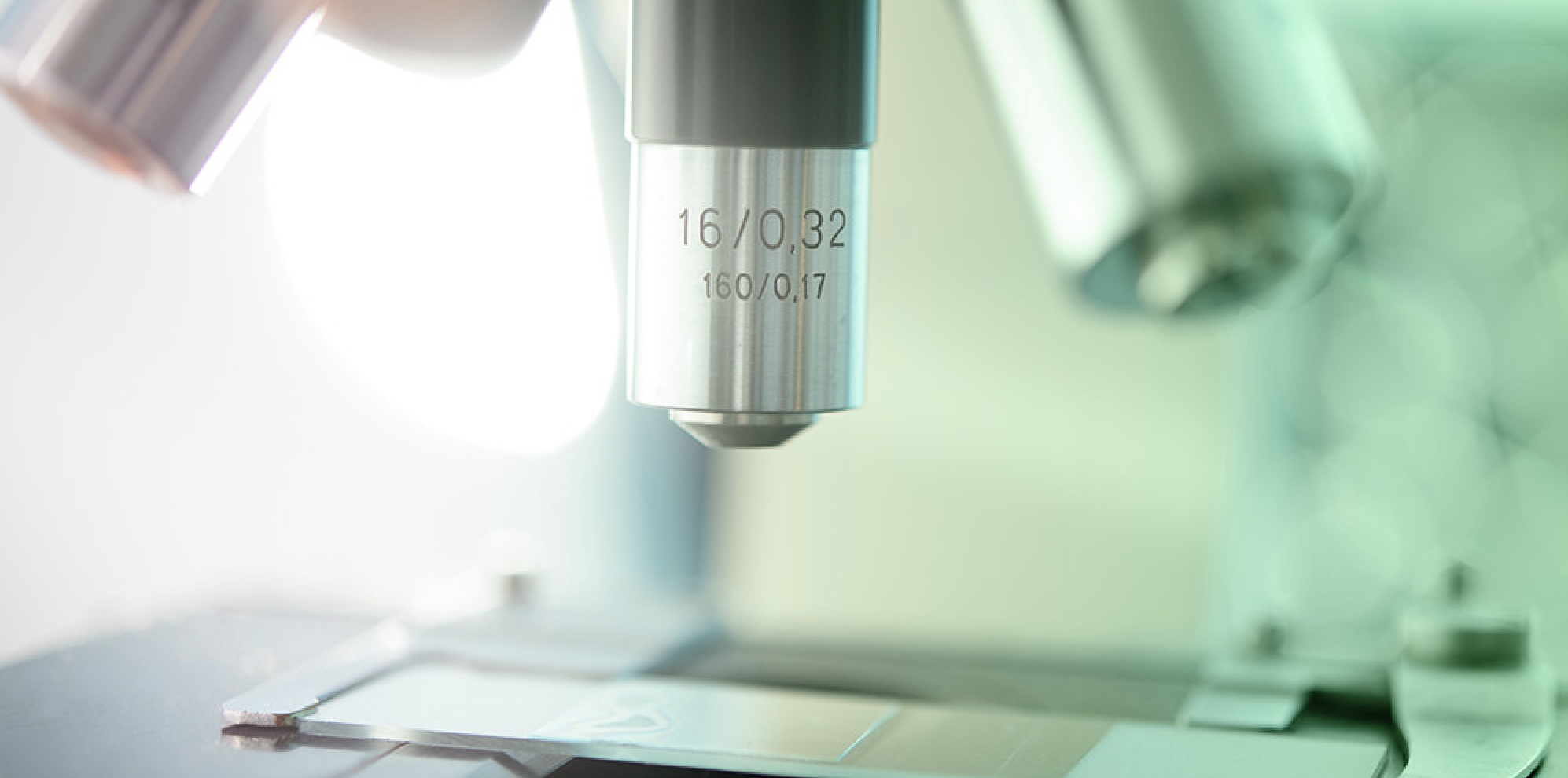 Immutep completely tanks after discontinuing lung cancer drug trial