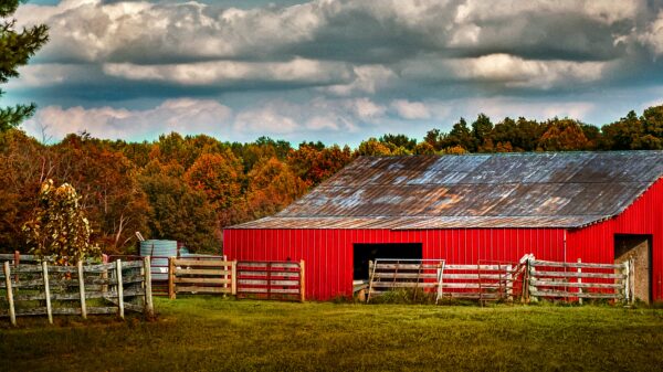 Kentucky farmers reject US$26M offer for farmland that would host AI data centre