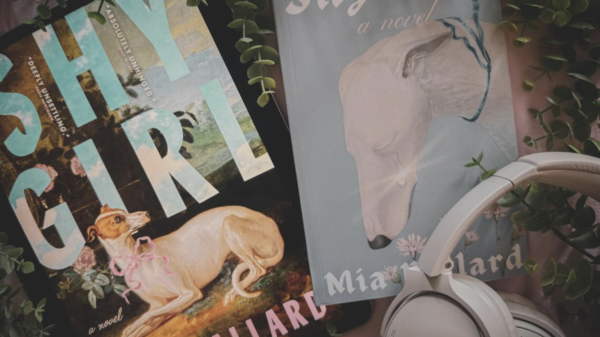 Major publisher Hachette pulls horror novel 'Shy Girl' over AI allegations