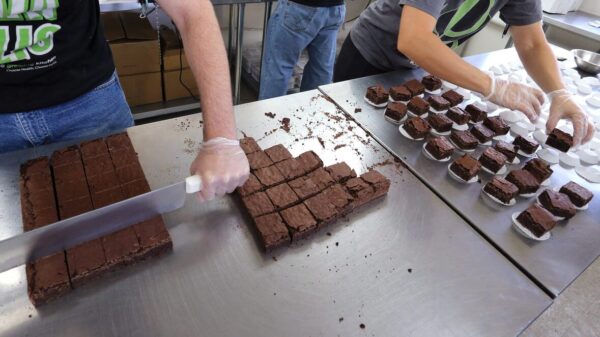 British Columbia records highest pet cannabis poisoning rates in Canada: report