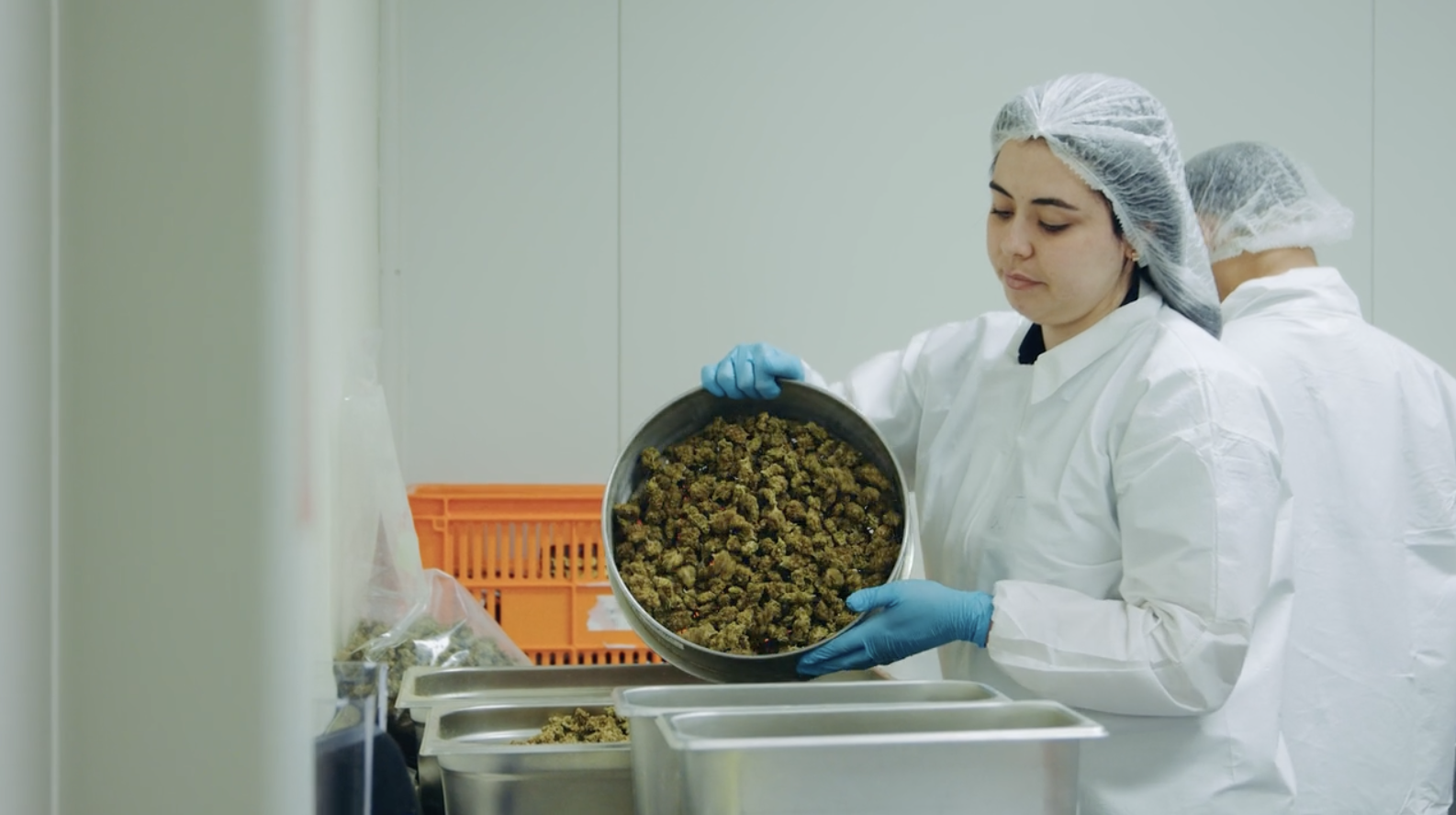 Bioxyne to manufacture Aurora Cannabis products for international distribution