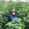 Cannabis-related police investigations skyrocketed in Japan last year