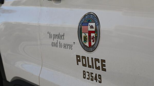 Hackers steal and leak trove of sensitive LAPD documents
