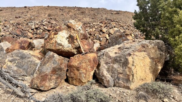 NevGold reports over 93 per cent gold recovery after antimony processing at Limousine Butte