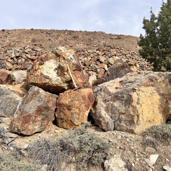 NevGold reports over 93 per cent gold recovery after antimony processing at Limousine Butte