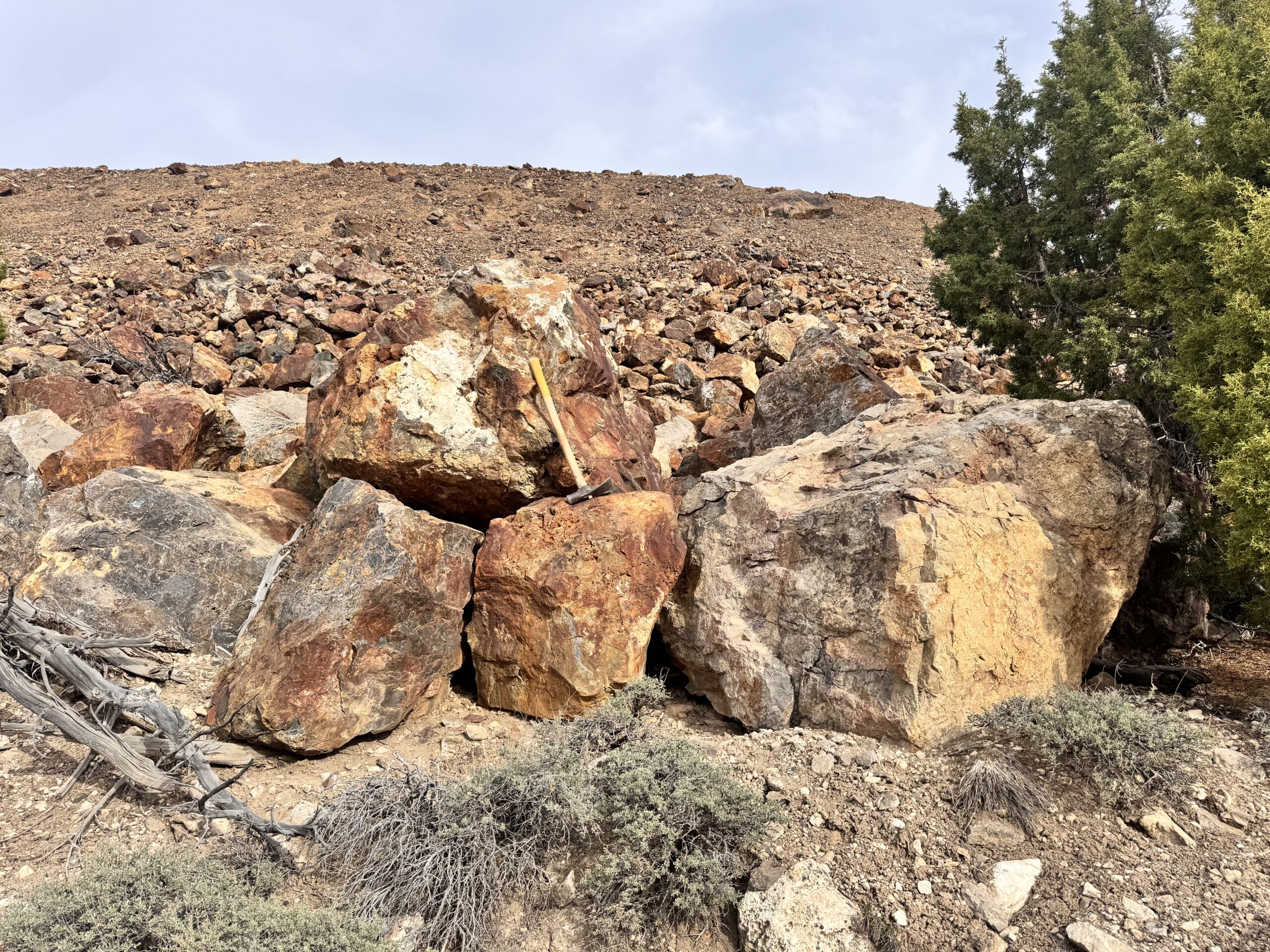NevGold reports over 93 per cent gold recovery after antimony processing at Limousine Butte
