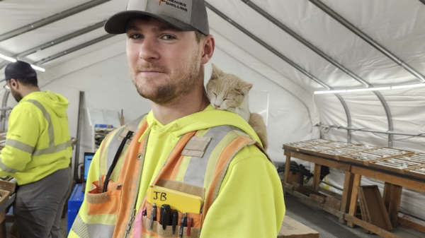 Scorpio Gold intercepts 45 grams per tonne in Nevada's Manhattan District