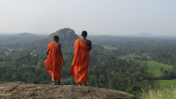 Unlikely culprits: 22 Buddhist monks arrested in Sri Lanka for smuggling cannabis