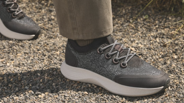 Wool shoe producer Allbirds soars on unexpected AI pivot