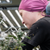 Curaleaf scoops trio of accolades at the Business of Cannabis Awards
