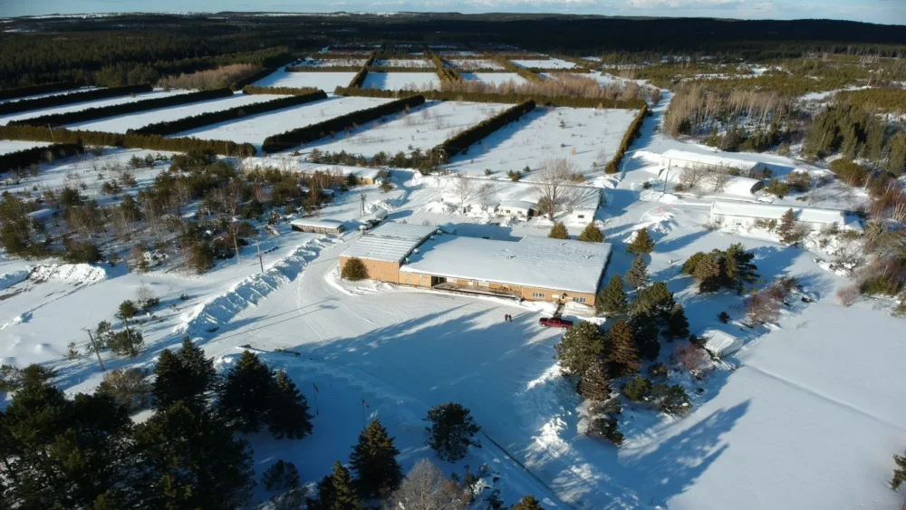NexGold launches airborne VTEM and gravity surveys at Nova Scotia gold project