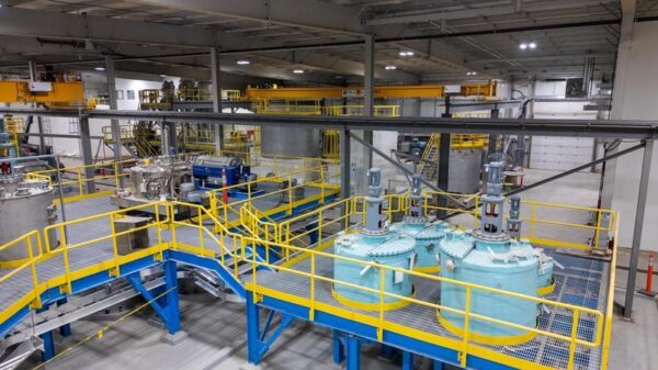 Project Vault targets global minerals now, domestic supply later