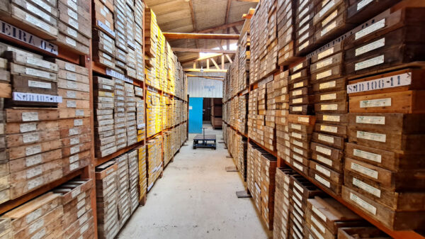 GoldMining's Brazil PEA sends stock up by over 10%