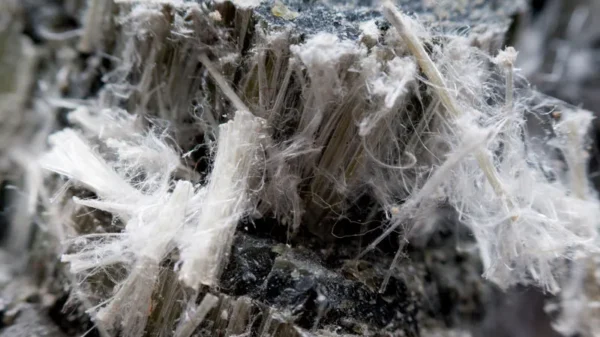 International research surge highlights asbestos health crisis