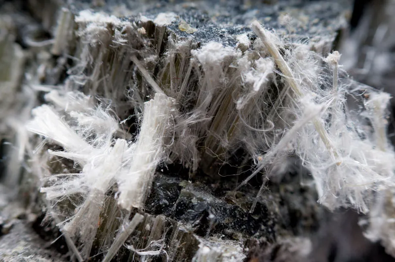International research surge highlights asbestos health crisis