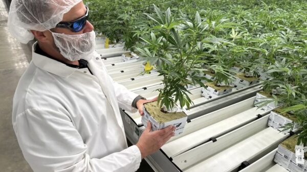 Trulieve set to become first NYSE-listed cannabis company