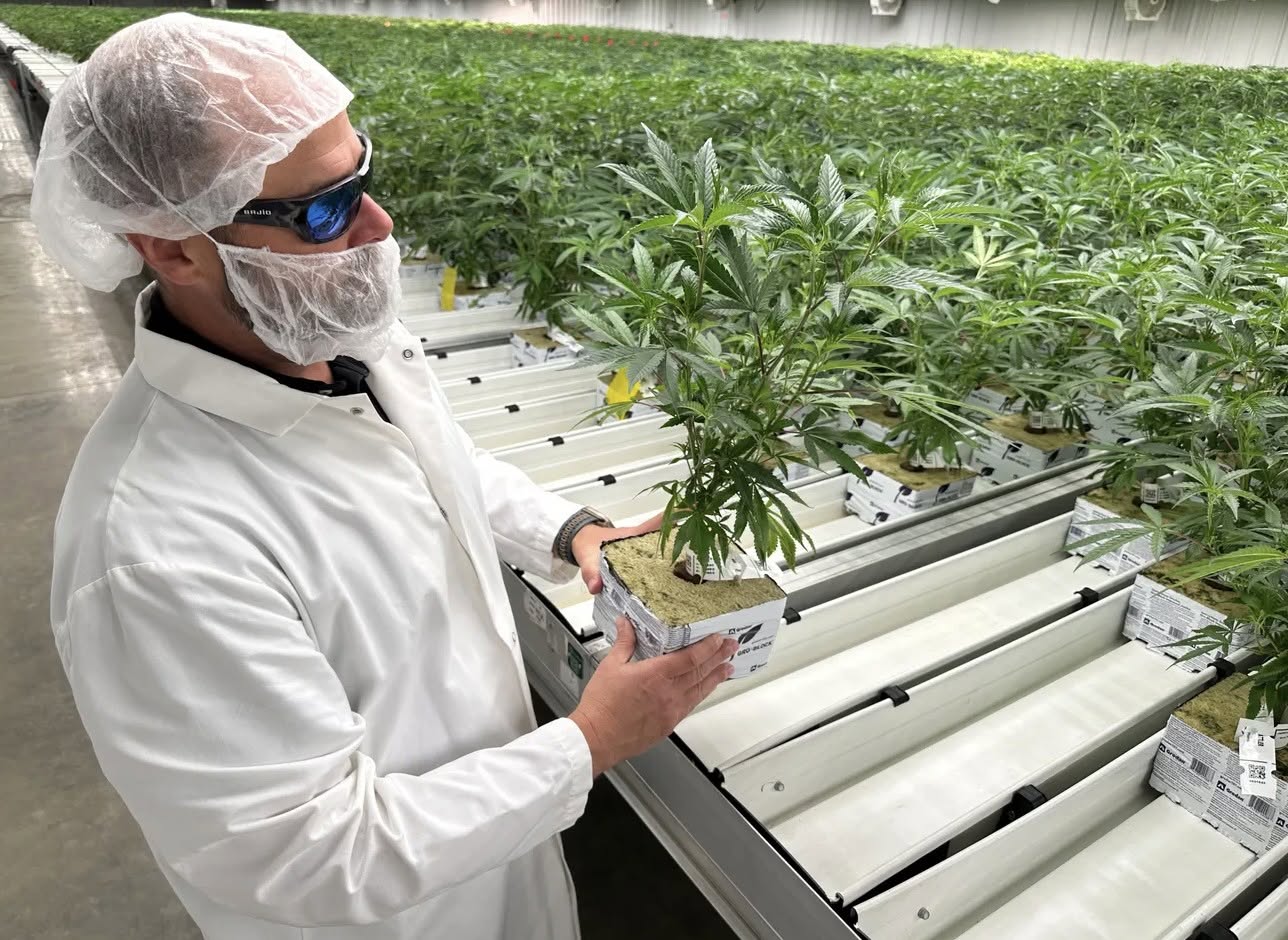 Trulieve set to become first NYSE-listed cannabis company