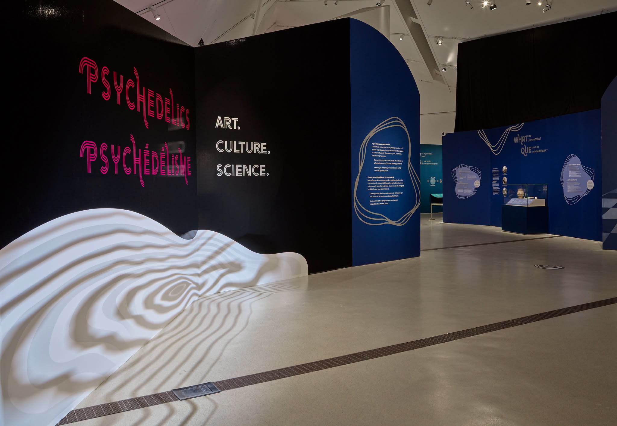 Royal Ontario Museum's 'Psychedelics: Art. Culture. Science.' exhibit runs until December