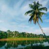 Sarawak employs satellite tech to map out its rare earth reserves