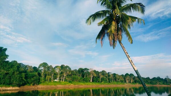 Sarawak employs satellite tech to map out its rare earth reserves