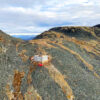 Sitka expands Blackjack gold zone as RC Gold drilling reaches 24,000 metres