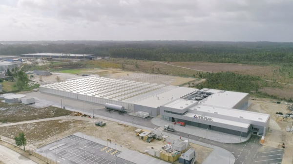 Tilray's medical cannabis division enters Panama with CBD shipments