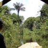 First World Ayahuasca Forum set to enlighten Spain in September