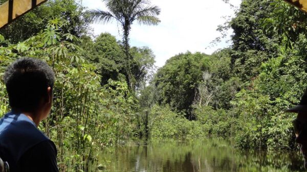 First World Ayahuasca Forum set to enlighten Spain in September