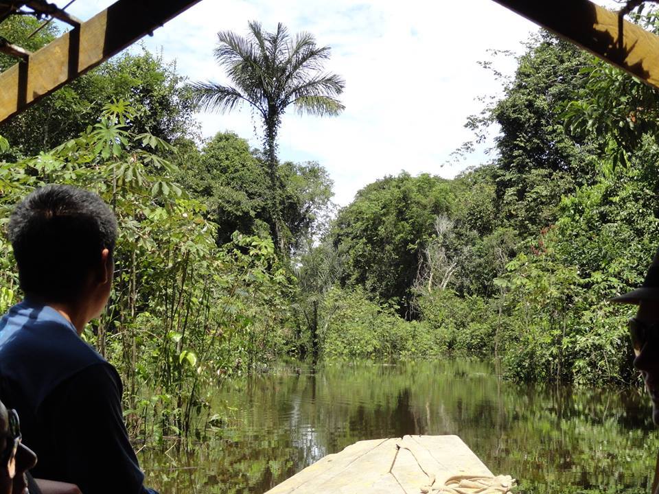 First World Ayahuasca Forum set to enlighten Spain in September