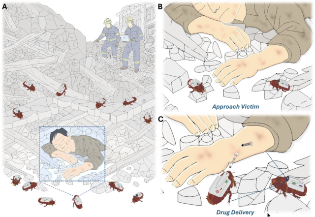 Trapped under a building? Big cyborg cockroaches may soon come to your aid