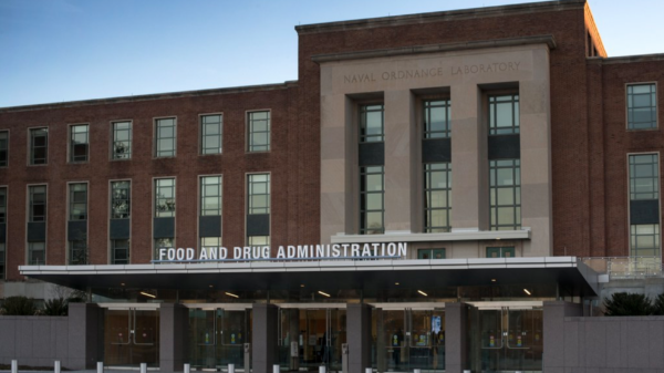 Four-hour FDA psychedelics hearing draws little pushback on future therapeutic use