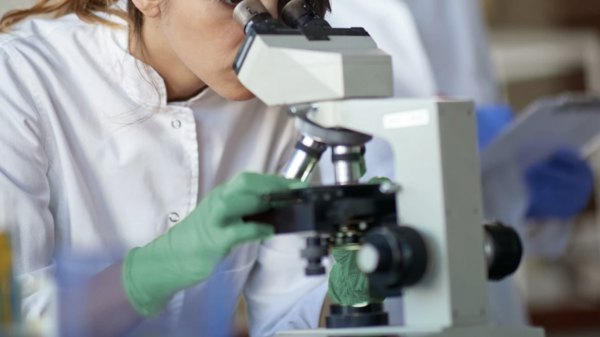 Longeveron slides 59% after-hours from stem cell therapy study failure